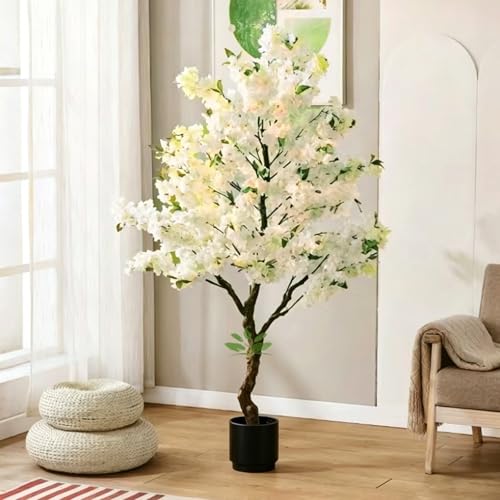 観葉植物 桜 鉢植え」の人気商品一覧 | 安い商品を通販サイトから探す